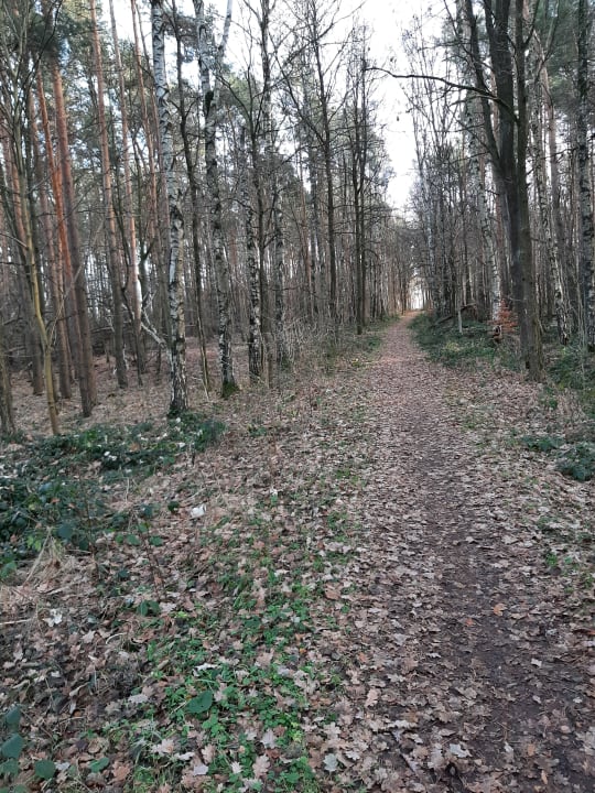 Außenansicht Gasthaus Zum Schwan