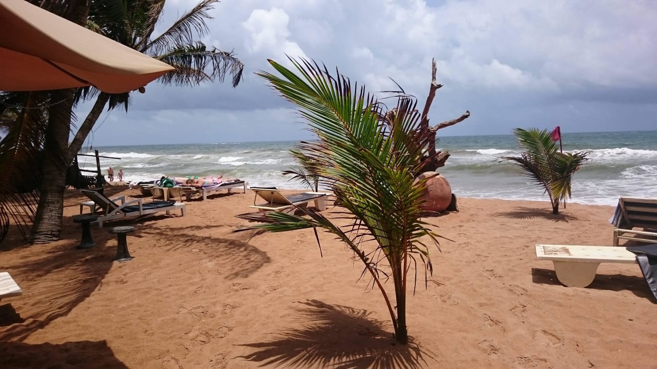 Plaża Royal Beach Resort