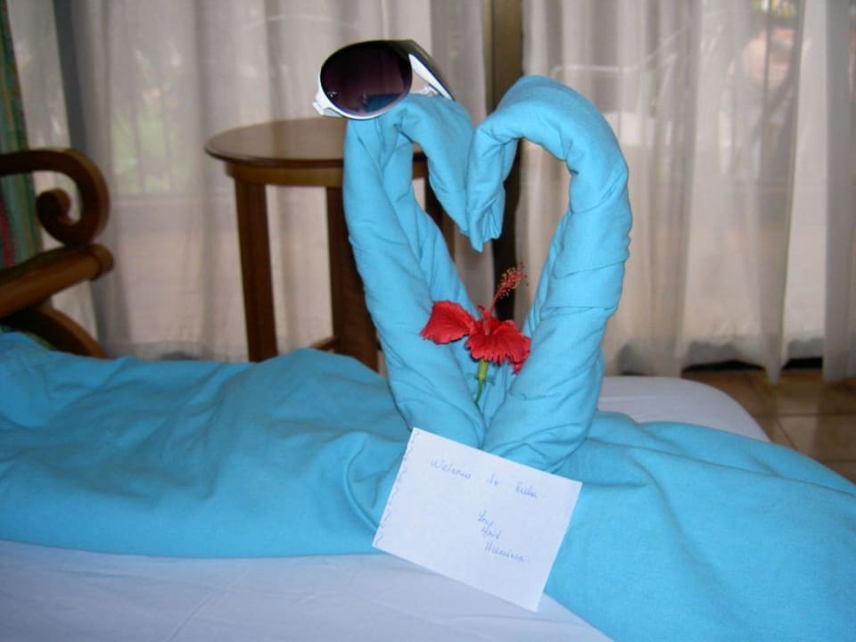 Kunstwerke Starfish Cuatro Palmas