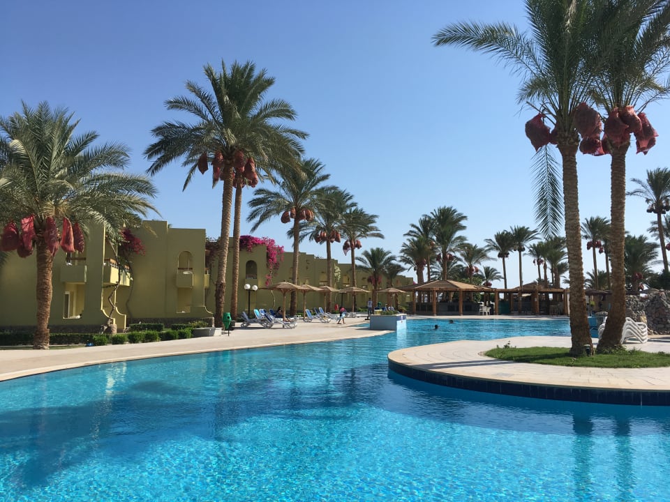 Pool Palm Beach Resort