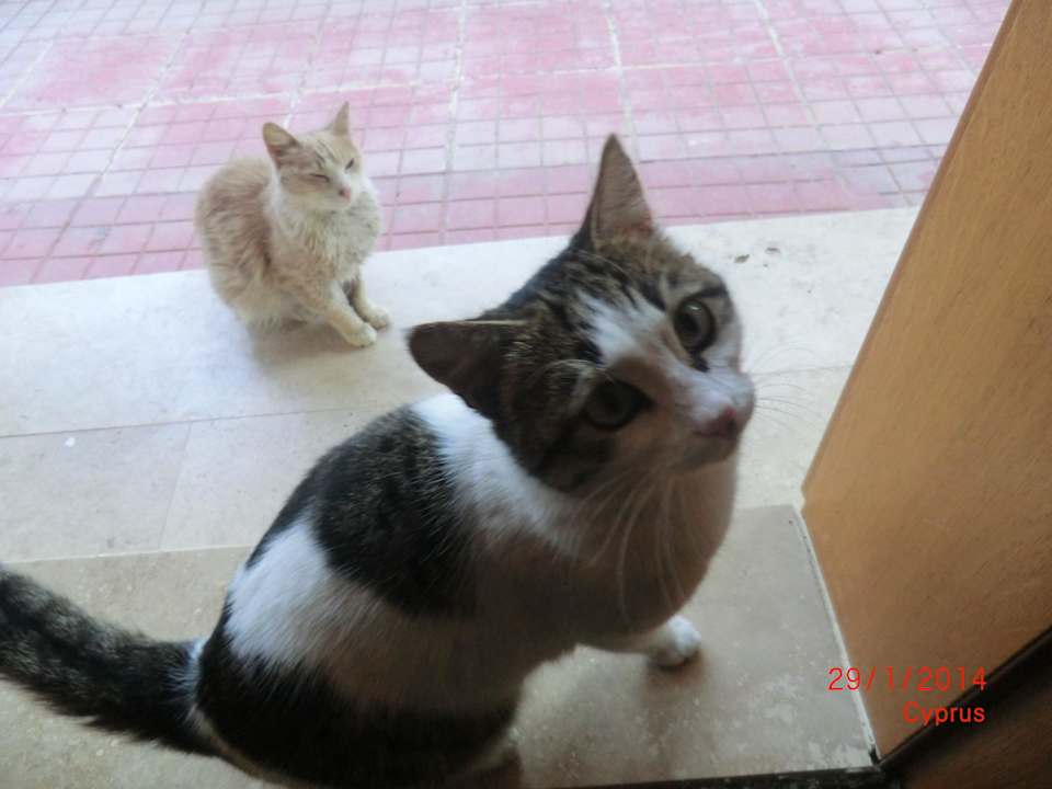 Wir haben Hunger Oscar Resort Hotel