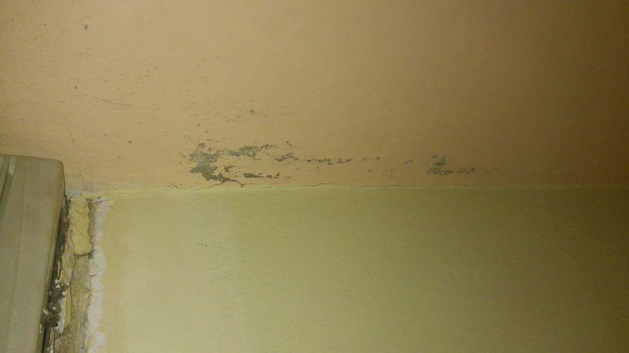 Schimmel im Innenbereich Hotel Tulipan