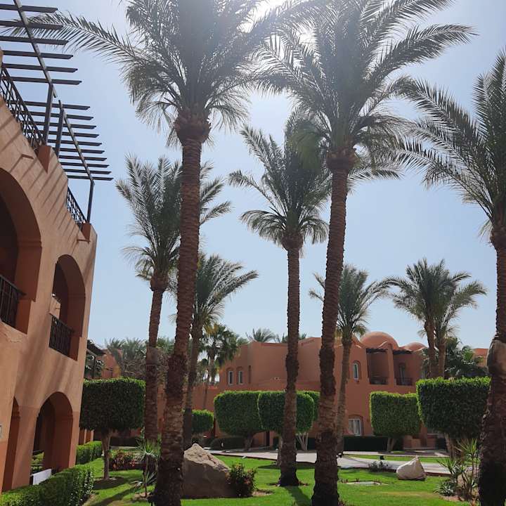 Pool Jaz Makadi Oasis Resort