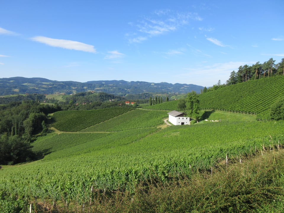 Ausblick Gasthof Mahorko