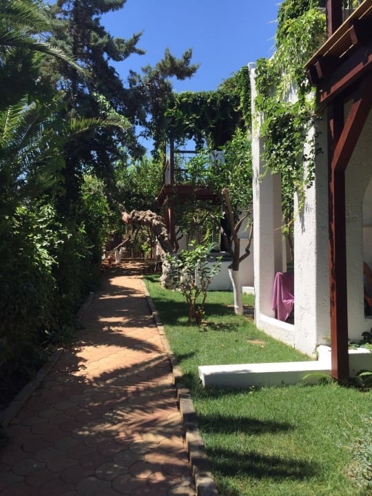 Sonstiges Kalypso Hotel