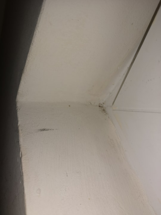 Zimmer Lifestylehotel Sand