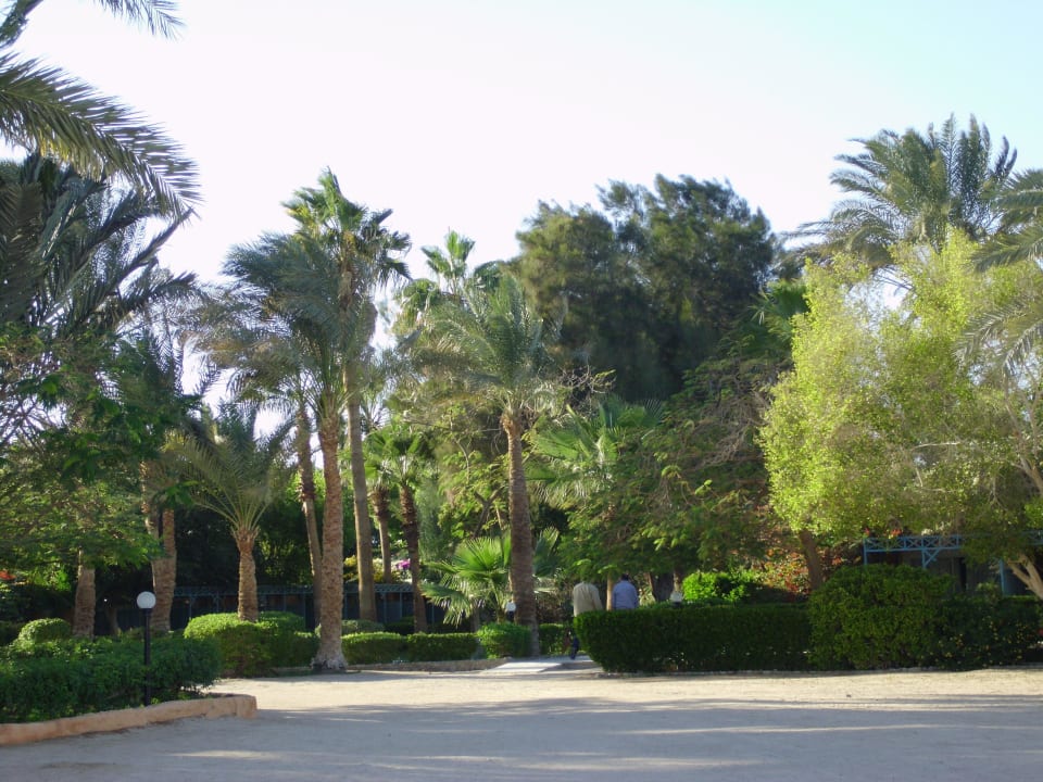 Garten Giftun Azur Resort