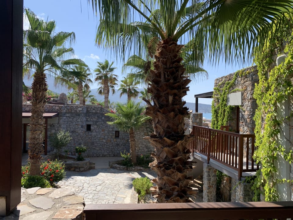 Zimmer Ikaros Beach Luxury Resort & Spa - Adults Only