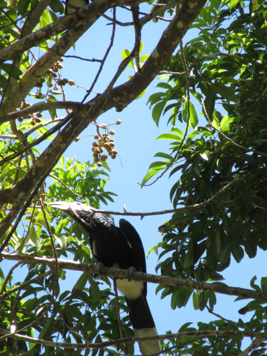 Gartenanlage Baobab Beach Resort & Spa