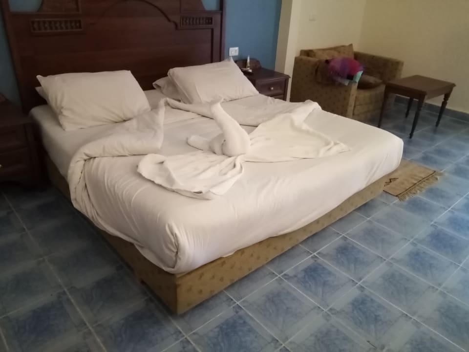 Zimmer Jasmine Palace Resort & Spa