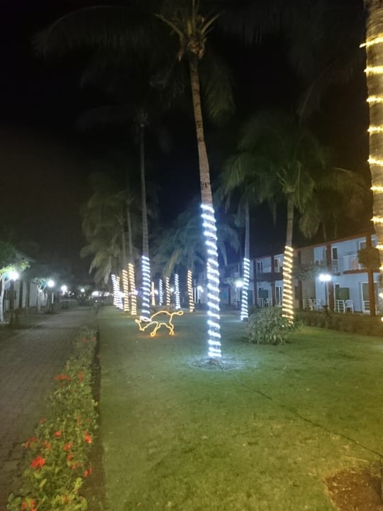 Gartenanlage Sol Hicacos