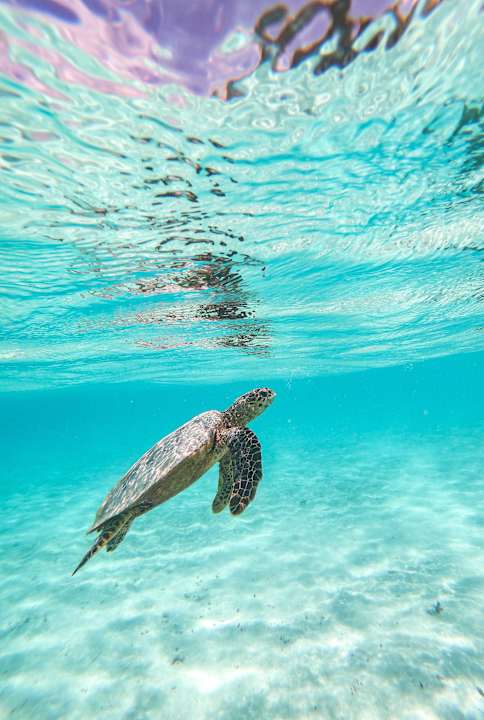 Sport & Freizeit Eri Maldives