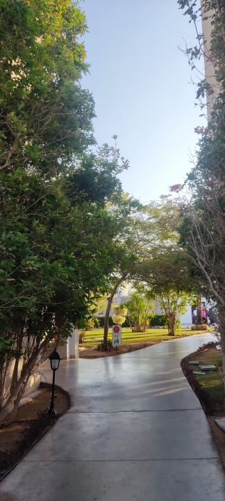 Gartenanlage Steigenberger Alcazar