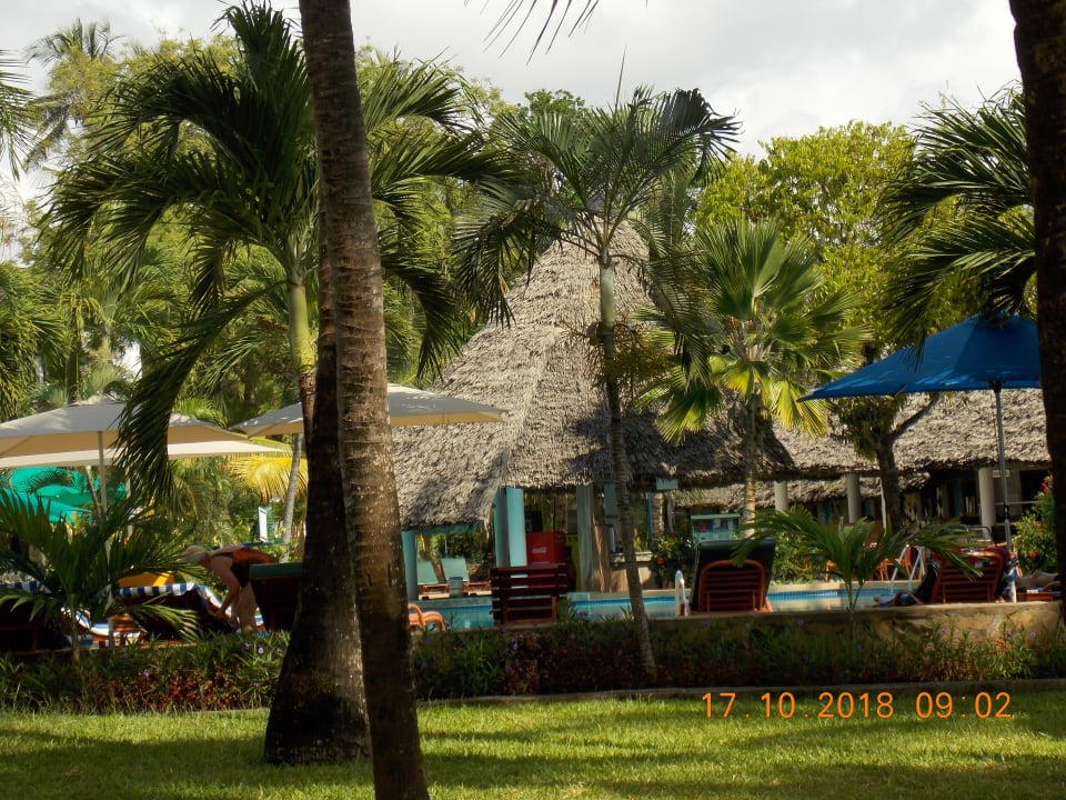 Gartenanlage Hotel Traveller's Club