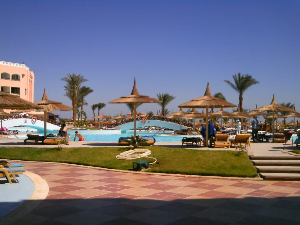 Kleiner Teil der Poolanlage Beach Albatros Resort