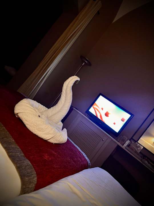 Zimmer Jaz Makadi Oasis Resort