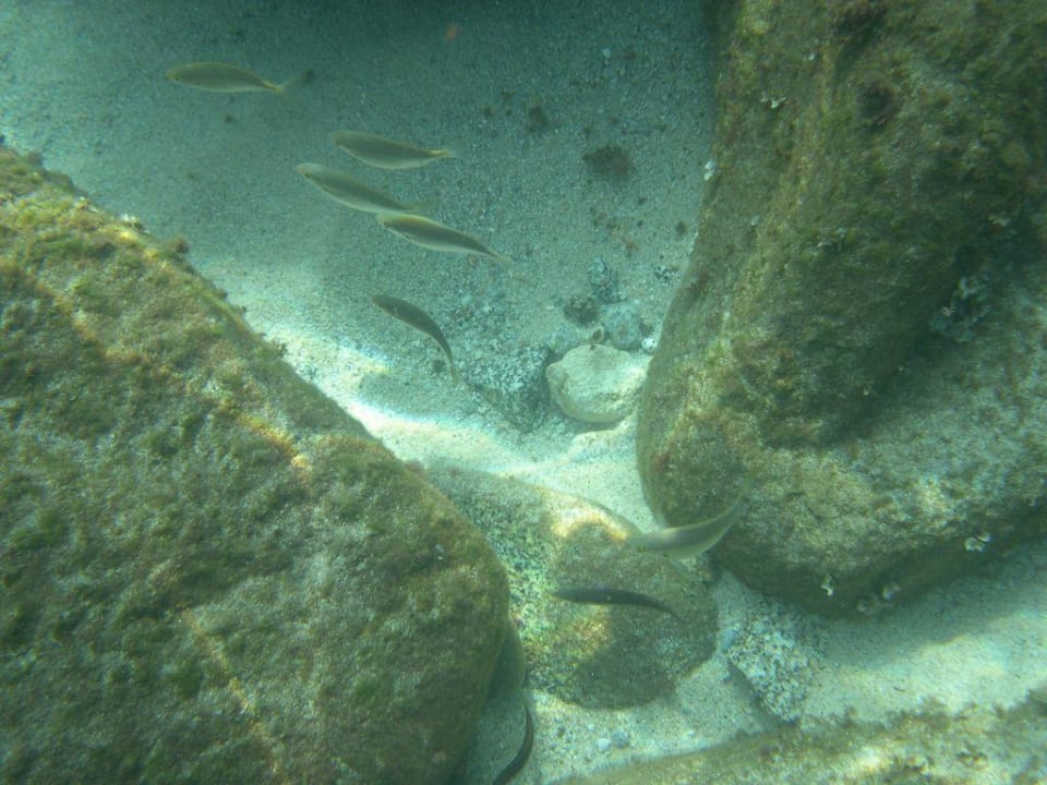 Klarstes Meerwasser Hotel Villaggio Il Gabbiano
