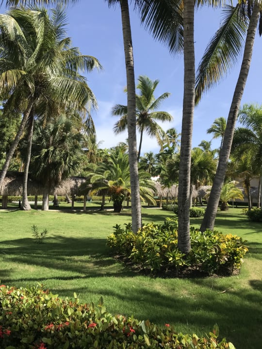 Gartenanlage Hotel Grand Palladium Palace Resort, Spa & Casino