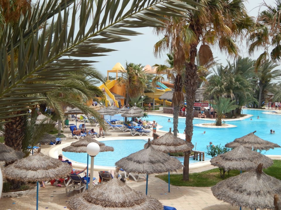 Tolle Poollandschaft Caribbean World Thalasso Djerba