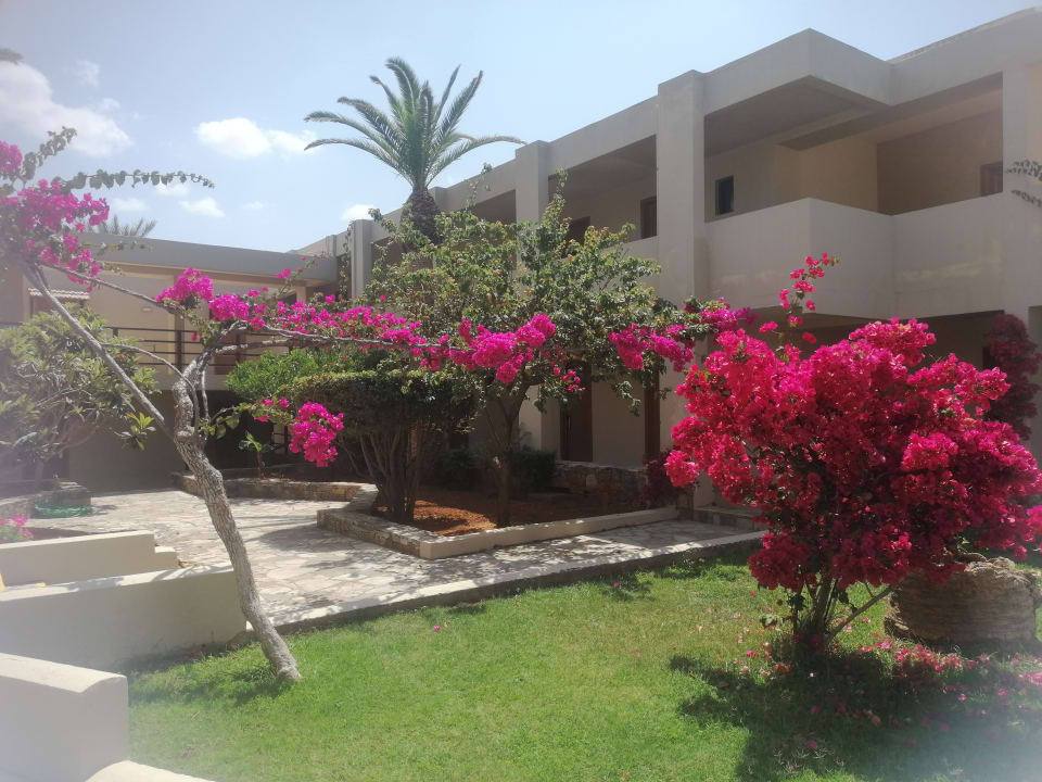 Gartenanlage allsun Hotel Malia Beach