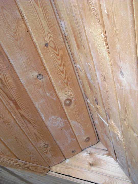 Familienzimmer Decke Armas Gül Beach