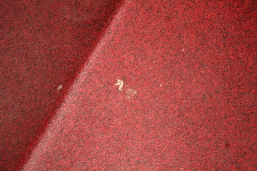 Die Treppe Rivijera Villen & Dependance Flora & Madera