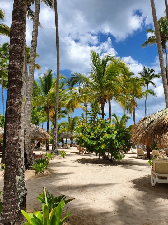 Strand Bahia Principe Luxury Bouganville