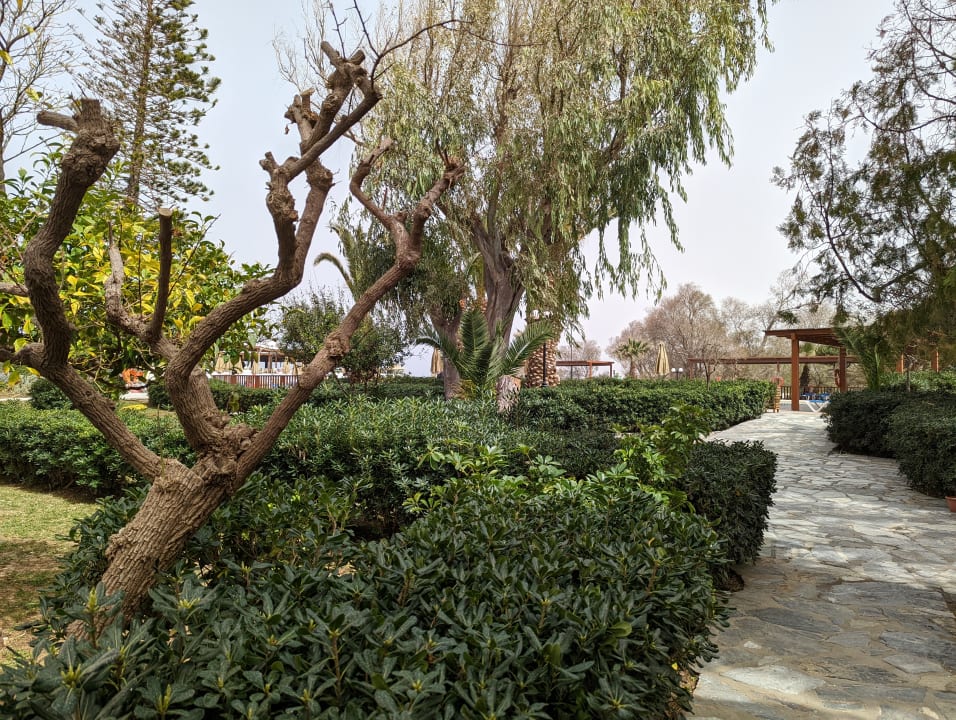 Gartenanlage Apollonia Beach Resort & Spa