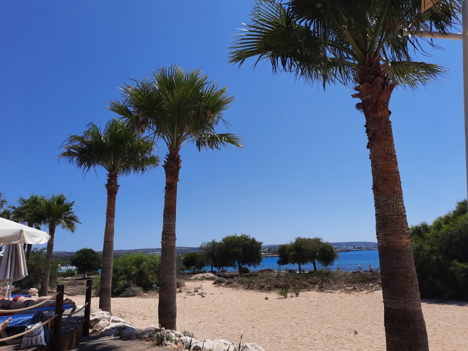 Strand Asterias Beach
