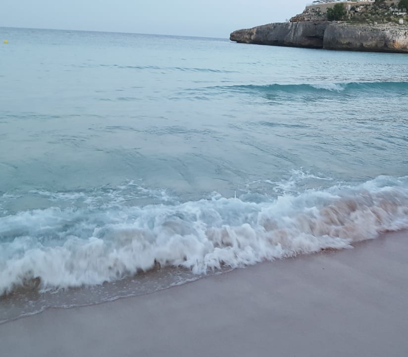 Strand Globales America