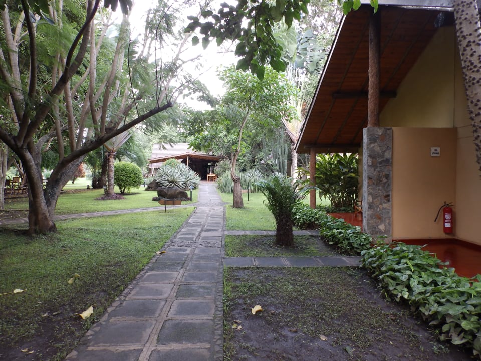 Zimmer Arumeru River Lodge