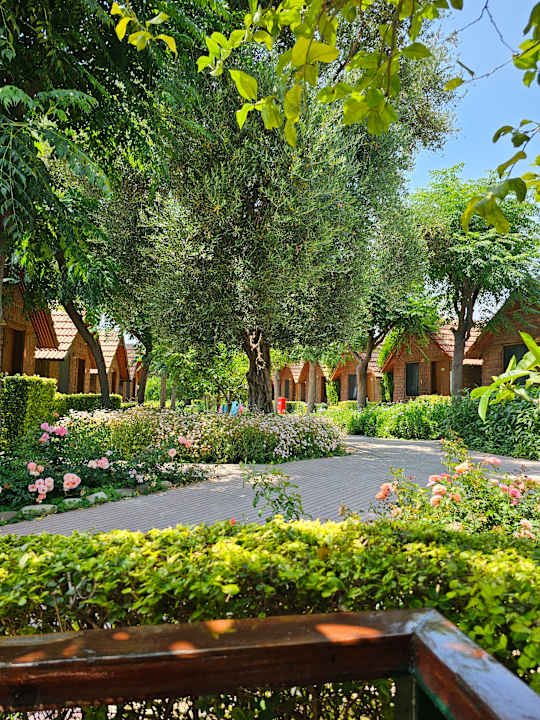 Zimmer Can Garden Beach