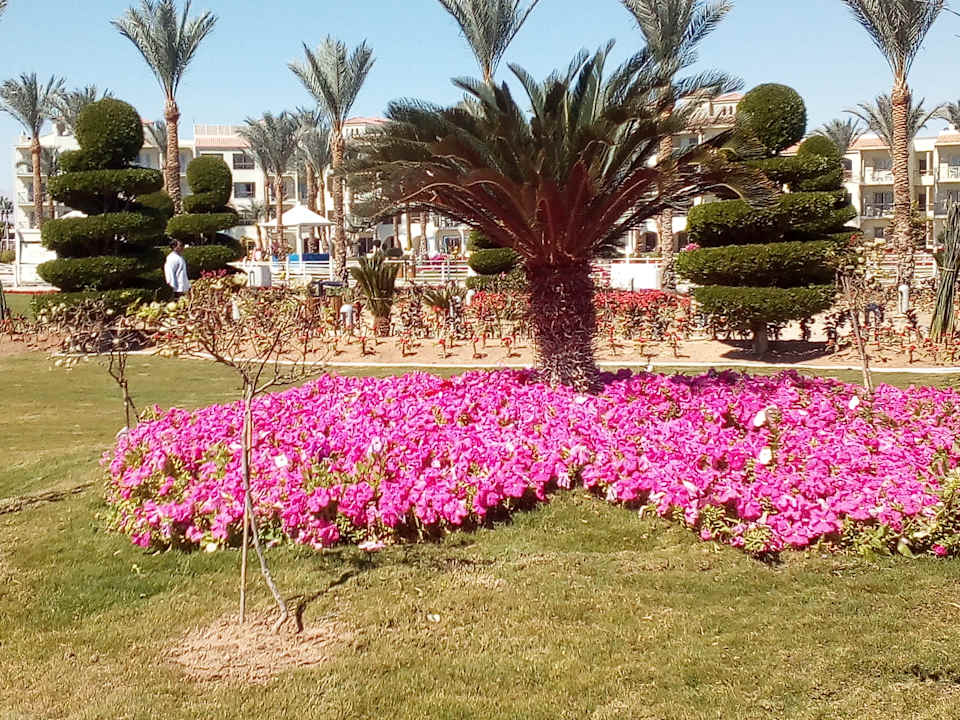 Gartenanlage Pickalbatros Dana Beach Resort - Hurghada