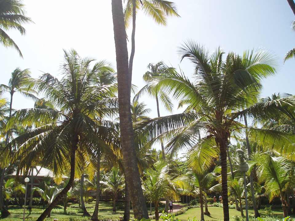 Schöne Gartenanlage Grand Palladium Select Bávaro Resort & Spa