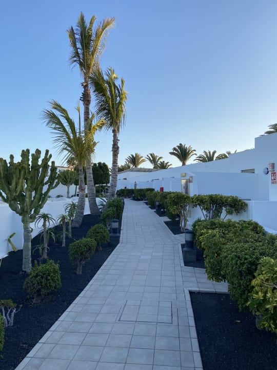 Gartenanlage Hotel Las Costas