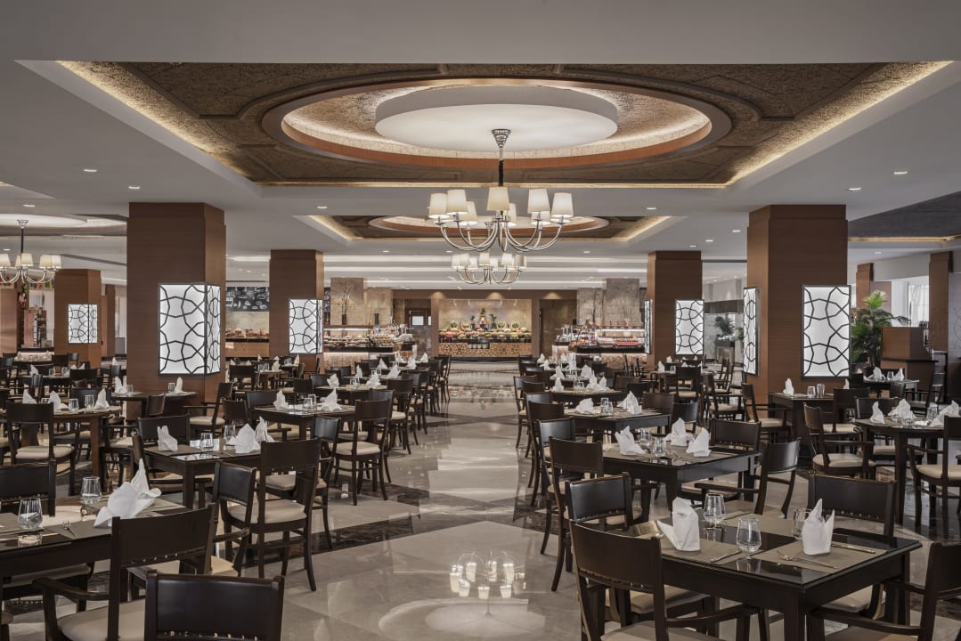 Gastro Papillon Ayscha