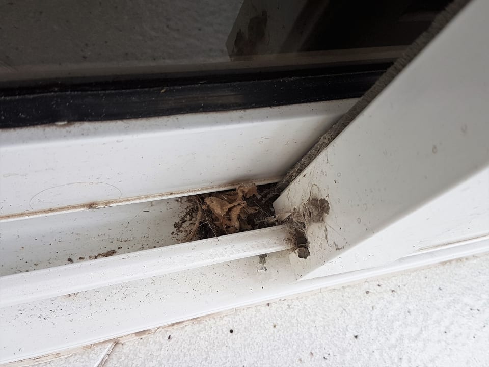 Zimmer THB Gran Bahía