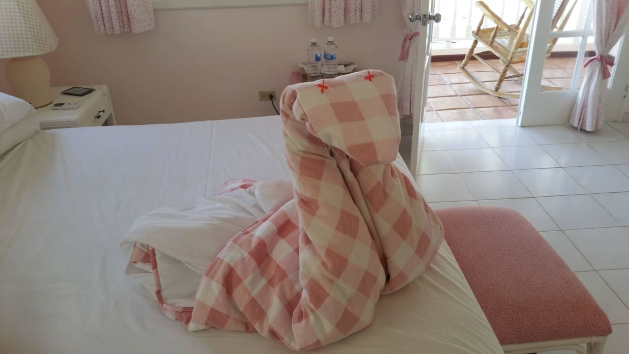 Künstlerinnen bei den Putzfrauen Villa Serena