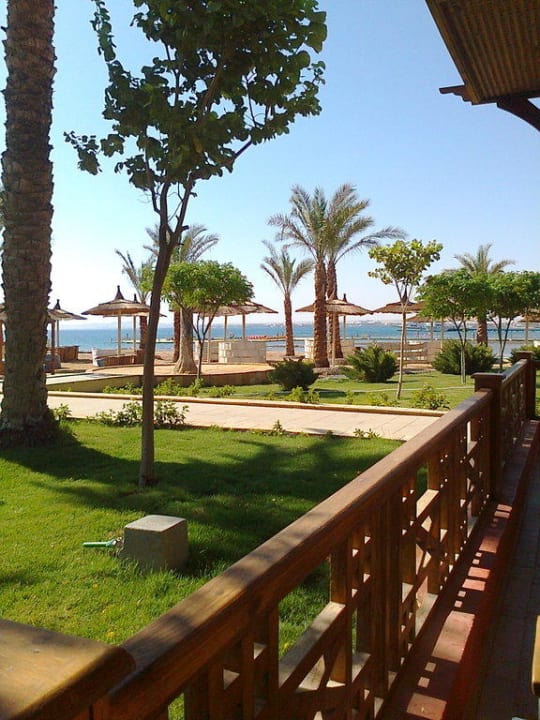Morgens am Strand Beach Albatros Resort