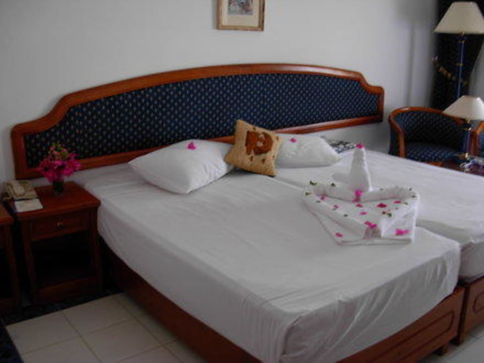 Our room Desert Rose