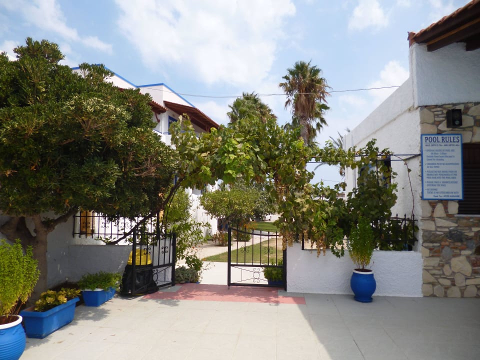 Neben der Poolbar Hotel Tigaki's Star