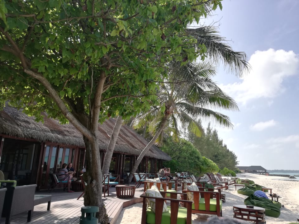 Strand Summer Island Maldives