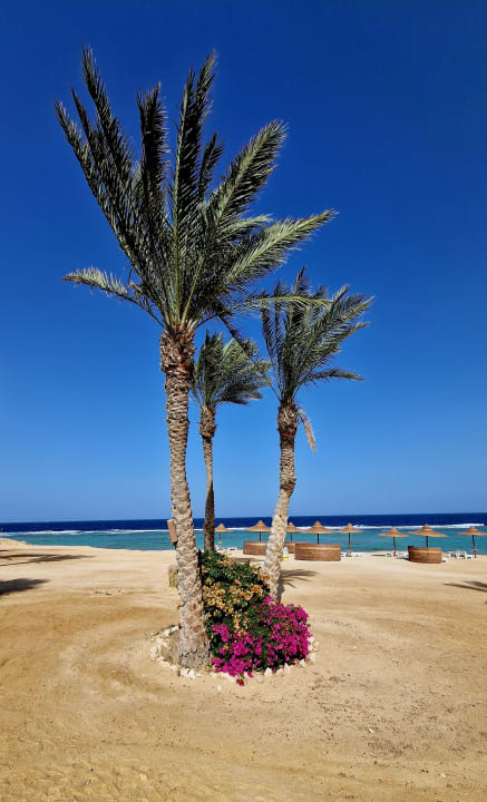 Strand Wadi Lahmy Azur Resort