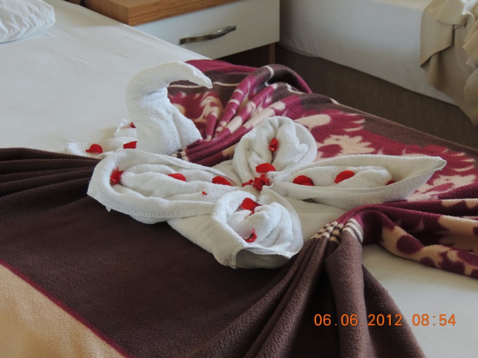 Hotel Diamore in Alanya Hotel Diamore