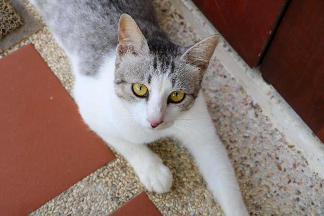 Tierische Besucher Hotel Tanjung Inn Villa de Fedelia