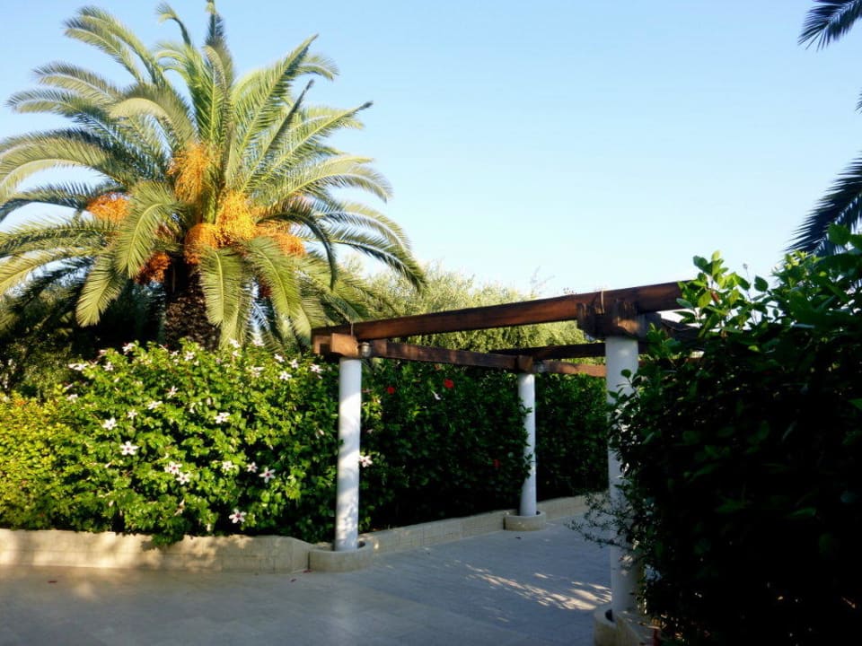 Herzlich Willkommen TUI KIDS CLUB Alex Beach