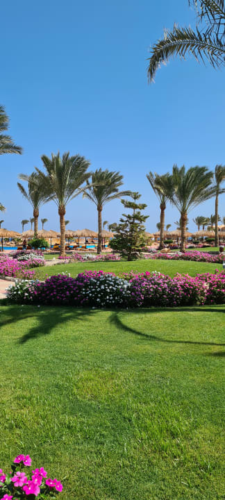 Gartenanlage Three Corners Sea Beach Resort