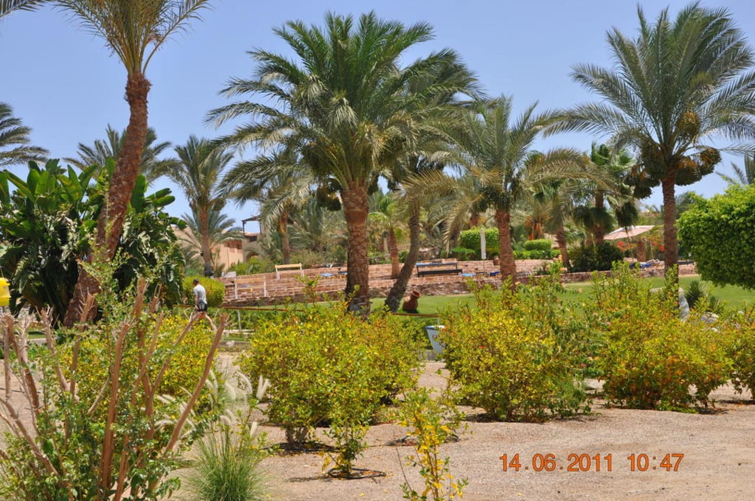 Gartenanlage Steigenberger Coraya Beach - Adults only