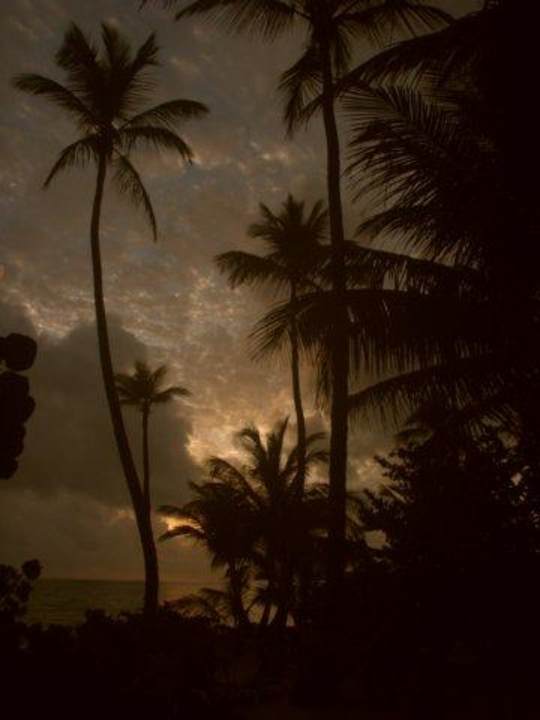 Il se lève sur l'Océan Hotel Grand Palladium Palace Resort, Spa & Casino