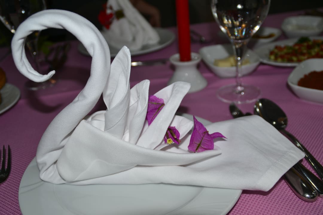 So können Servietten aussehen Hane Family Resort